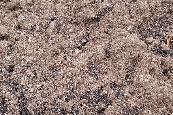 What’s the Best Mulch for a Vegetable Garden?