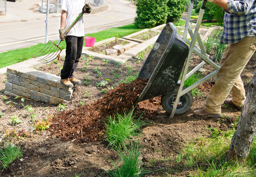 Fall Landscaping Tips and Tricks