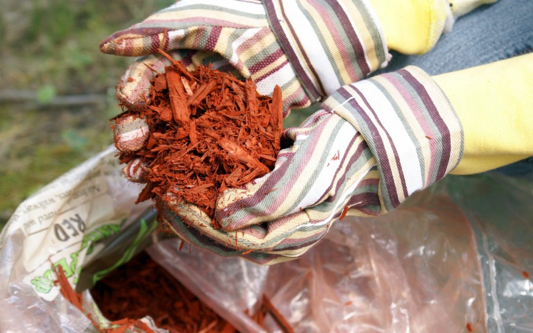 Does Mulch Attract Termites?
