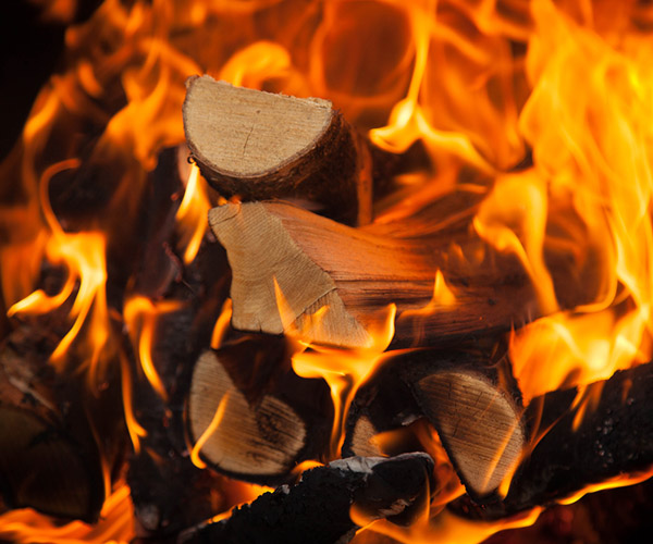 It’s Never Too Soon to Have Firewood Delivered