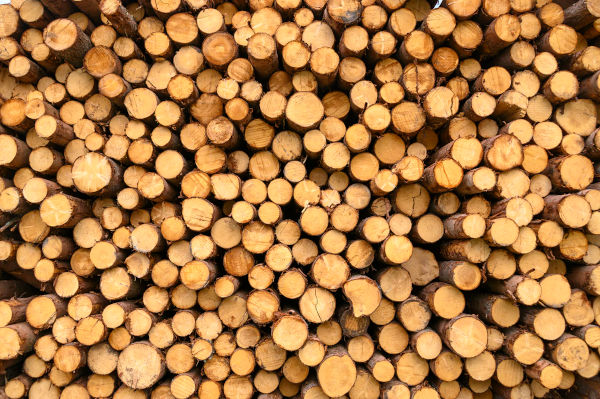 How to Properly Store Firewood