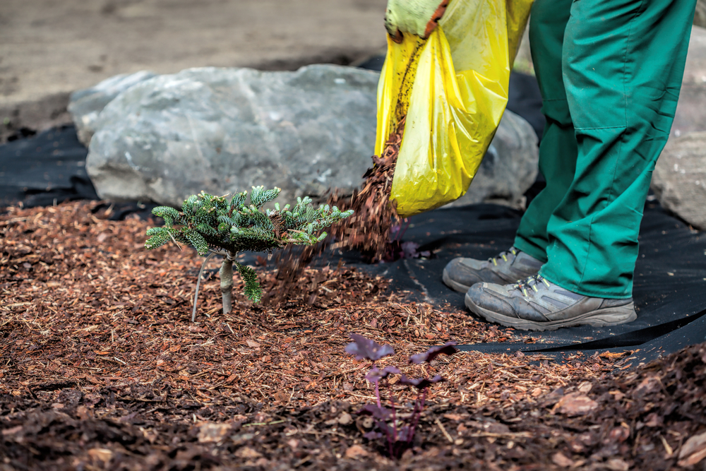 Garden Landscaping Tips That Will Save Money