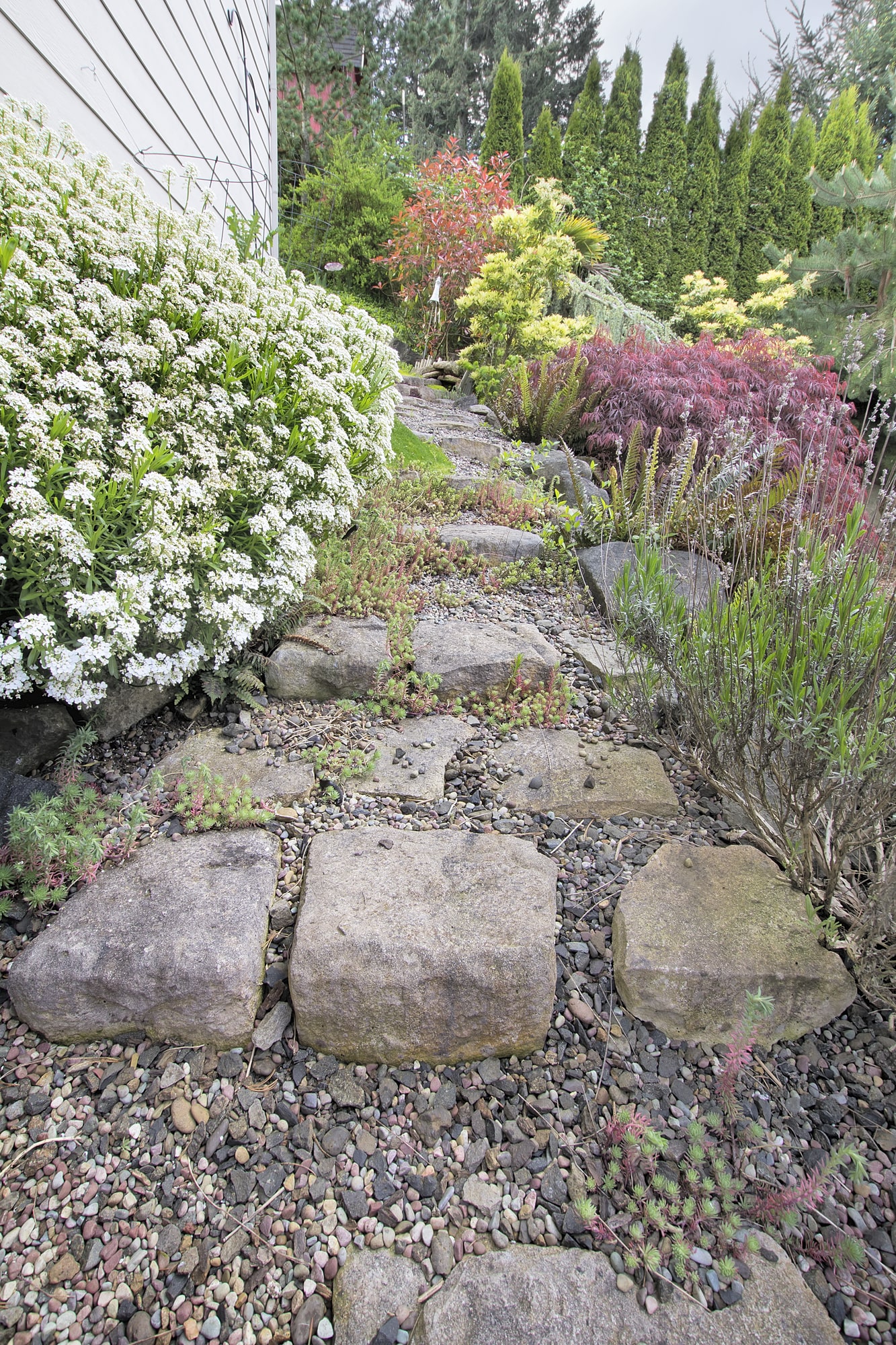 A drainage trench with stepping stones inside it