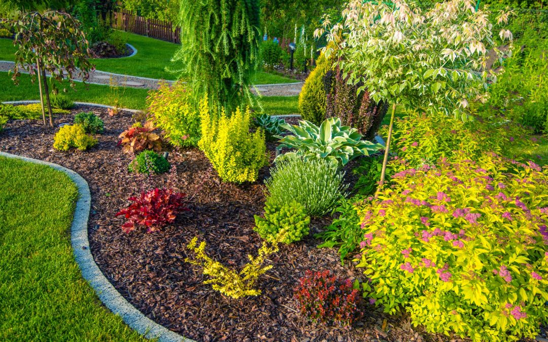 Choosing the Right Plants for Low-Maintenance Commercial Landscaping