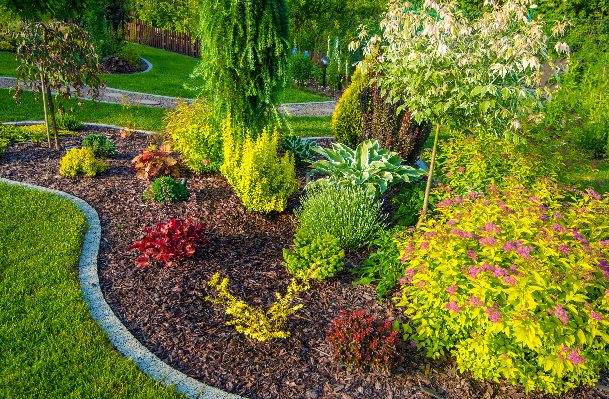 nicely maintained landscaping featuring a mulched area with various plants and shrubs