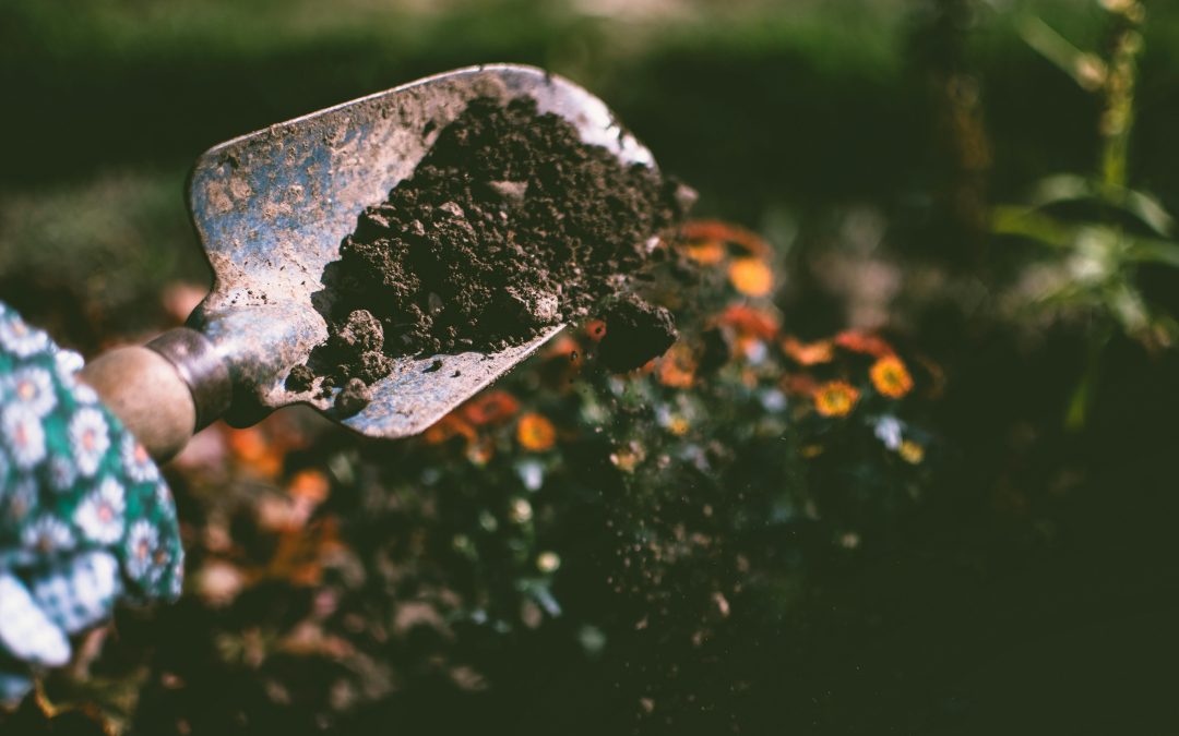What is Garden Soil?