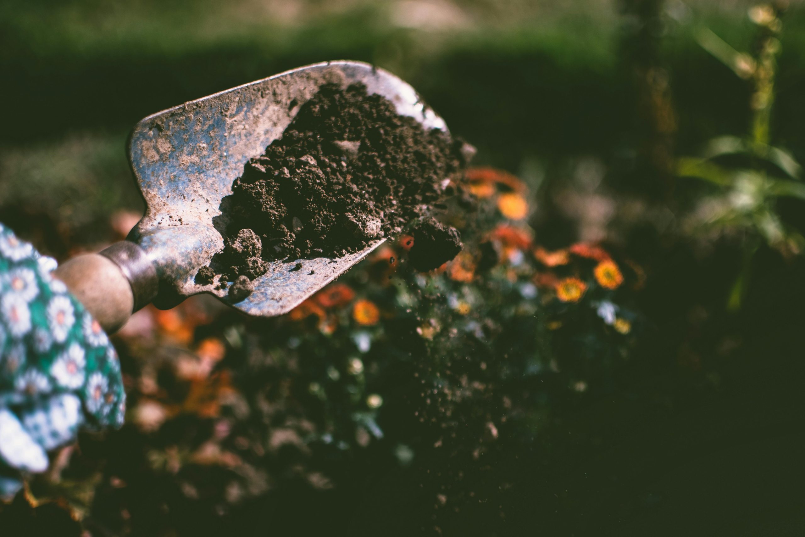 Tilling the topsoil